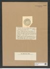 Coscinodiscus ? rapax Castrac. (de-Toni-Nr.: Genus 202, Species 5192) Zeichnungen Sammlung Grunow Nr. 8906 (NHMW-BOT-W0378566)